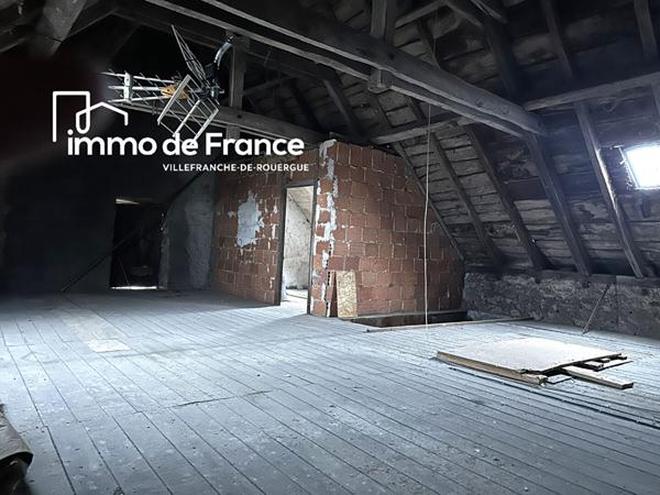 Lanuéjouls, immeuble en pierre, maison et local commercial avec grange et jardin