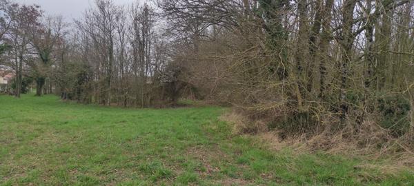 Terrain constructible à Luçay le Mâle