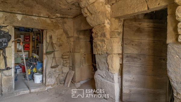 Mas de caractère rénové avec ses gîtes, sa piscine et son atelier d’artiste