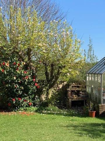 Vente Maison 6 pièces 113 m2 à Honfleur