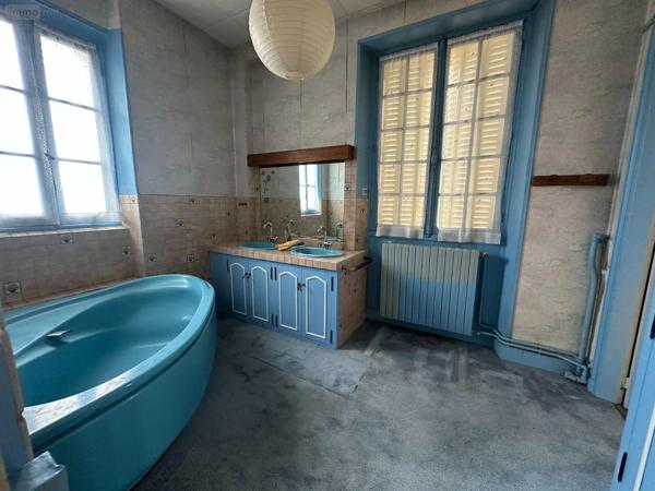 Achat - Maison | Maison de maître Saint-Julien-du-Sault 89330 8 pièces 220 m 2 730 m 2