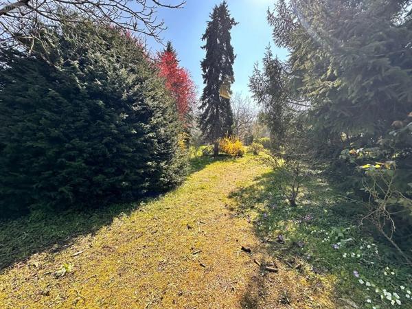 Achat - Maison | Maison de maître Saint-Julien-du-Sault 89330 8 pièces 220 m 2 730 m 2