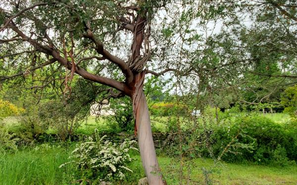 Maison à vendre    5 pièces • 139 m2 Lablachère