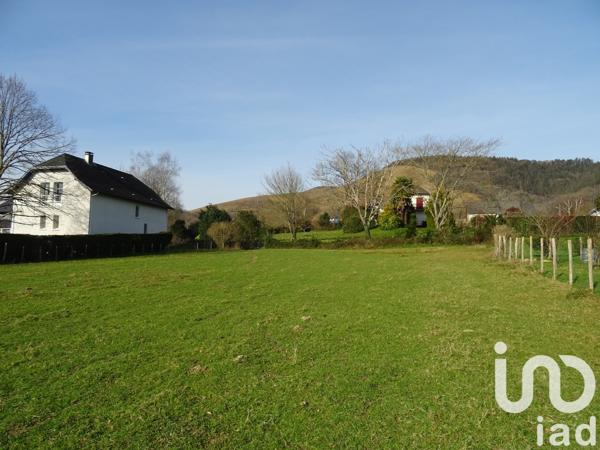 Terrain à vendre 1 359 m² Mauléon-Licharre