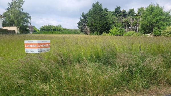 Draché proche de l'axe Ste Maure - Châtellerault, beau terrain de 1560 m² constructibles - Réseaux en limite de propriété.