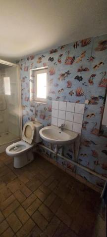 À vendre Maison 17 pièces 395 m² - Laveline-devant-bruyères 88600