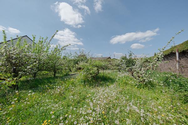 Maison de 88 m² à vendre à Saint Rémy