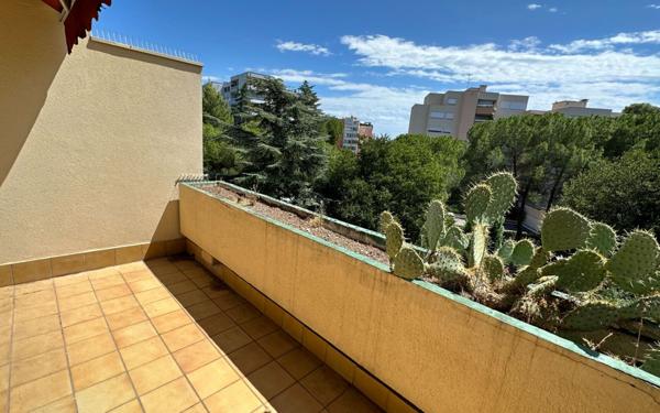 Appartement à louer    1 pièce •  Montpellier