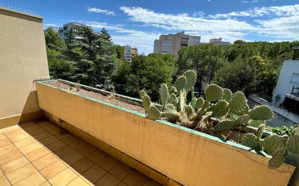 Appartement à louer    1 pièce •  Montpellier