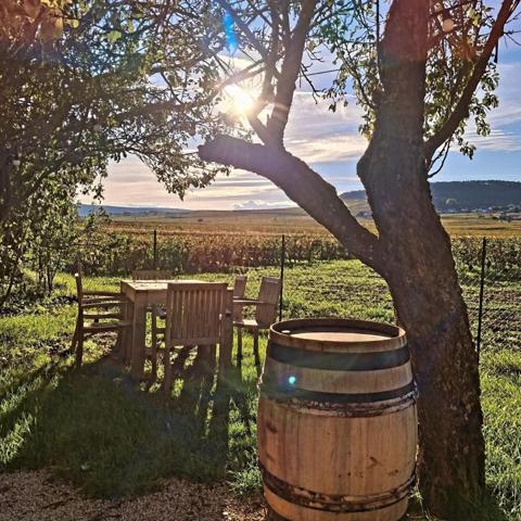 A saisir restaurant (fond et murs) idéalement situé face au vignoble