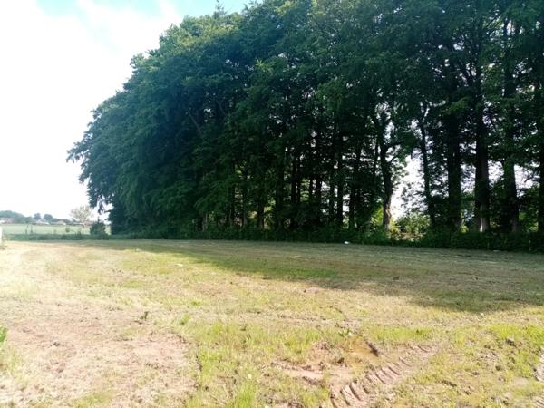 Dpt Seine Maritime (76), à vendre DOUDEVILLE terrain