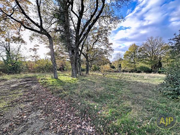 Vente maison Erbray : 205 000 € - AJP Immobilier Châteaubriant