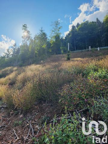 Terrain à vendre 1 324 m² Bourbach-le-Haut