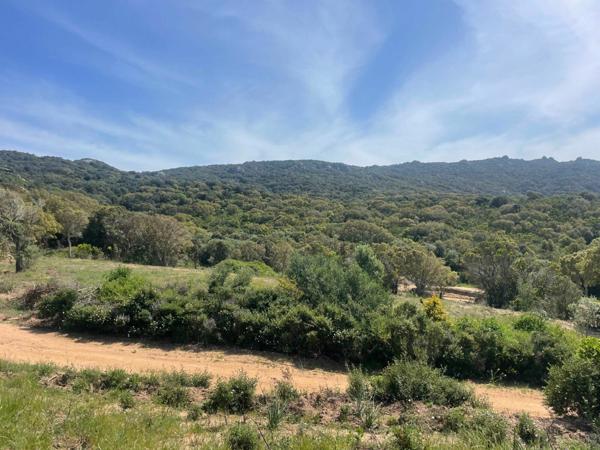 Terrain à vendre    Figari