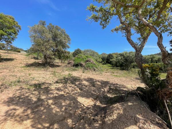 Terrain à vendre    Figari
