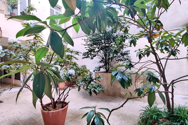 Appartement 1 pièce - 26 m² Exclusivité
