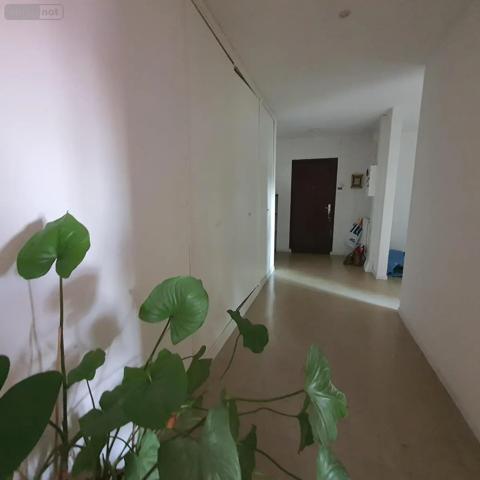 Achat - Appartement Maubeuge 59600 76 m 2