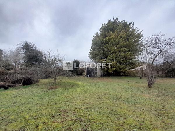 Achat terrain La Grande-Paroisse - 1287 m² - 89 000 €
