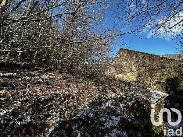 Immeuble à vendre 250 m² Rimbach-près-Masevaux