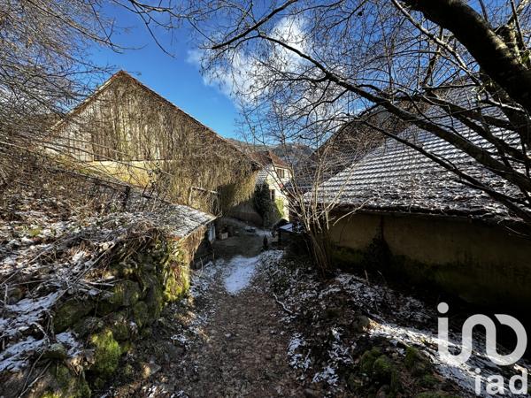 Immeuble à vendre 250 m² Rimbach-près-Masevaux