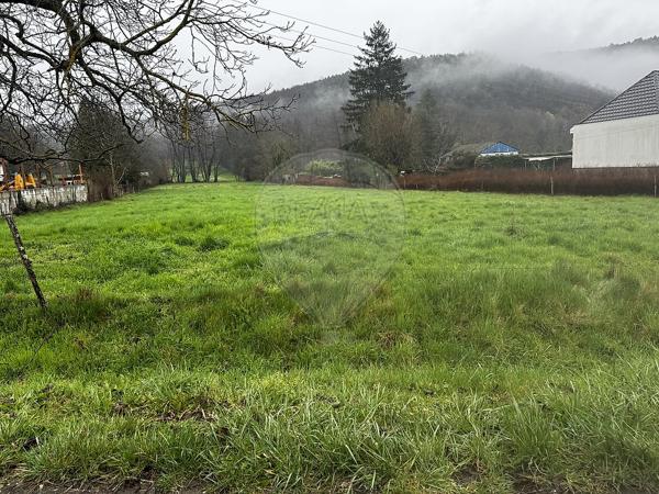 Terrain  en vente - Haut-Rhin - 68