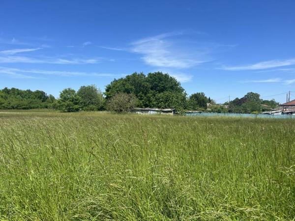 Terrain à vendre |  Meauzac |  1630 m²