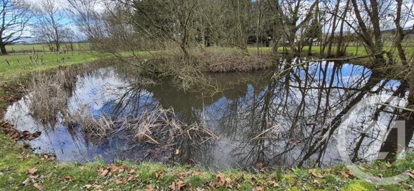 Maison à vendre  9 pièces - 218 m2 ST USUGE - 71