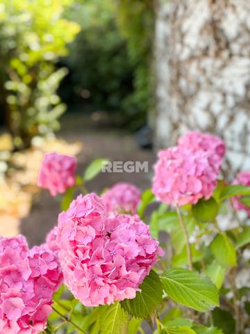 Saint-Grégoire (35760) Maison d'architecte de plain pied 136 m2 à Saint Grégoire