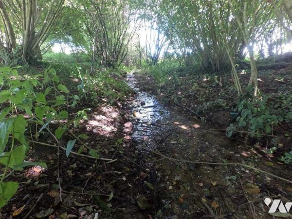 Agréable maison en campagne