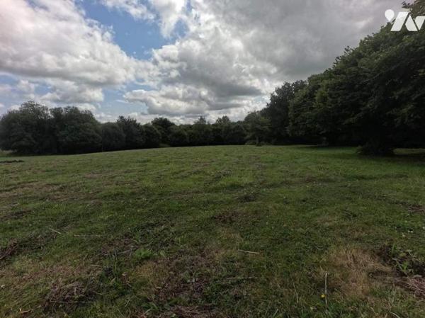 Agréable maison en campagne