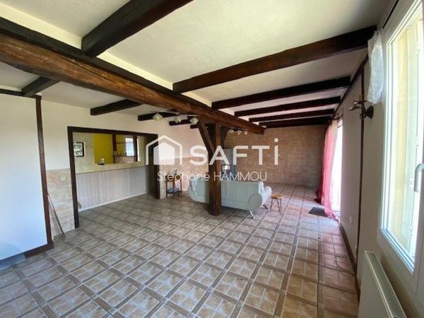 Maison Briarde avec jardin et de beaux volumes