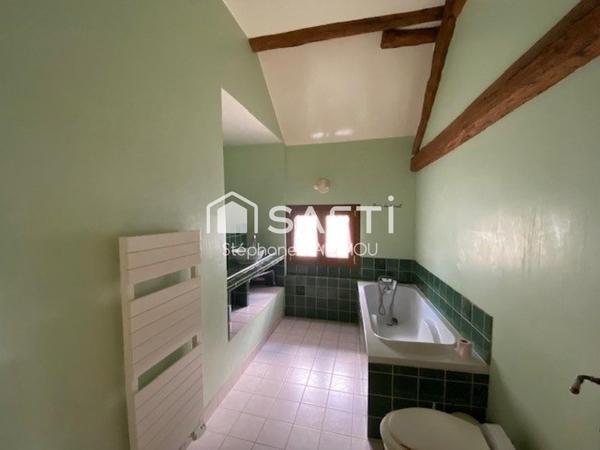 Maison Briarde avec jardin et de beaux volumes