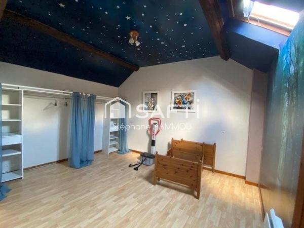 Maison Briarde avec jardin et de beaux volumes