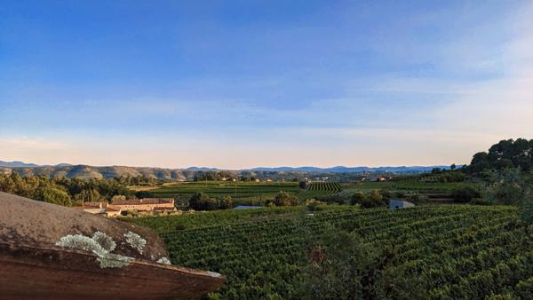 Bâtiment et terrain