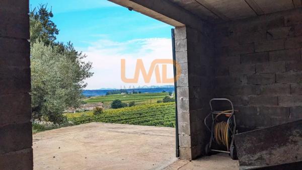 Bâtiment et terrain