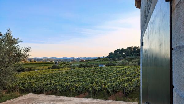 Bâtiment et terrain