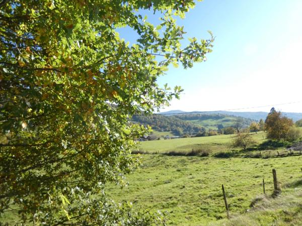LE THILLOT (88) Ferme de 90m² habitables et 250m² d'anciennes granges et écuries à réhabiliter avec fort potentiel- 1.3 hectare de terrain, hangar.