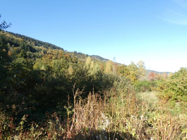 LE THILLOT (88) Ferme de 90m² habitables et 250m² d'anciennes granges et écuries à réhabiliter avec fort potentiel- 1.3 hectare de terrain, hangar.