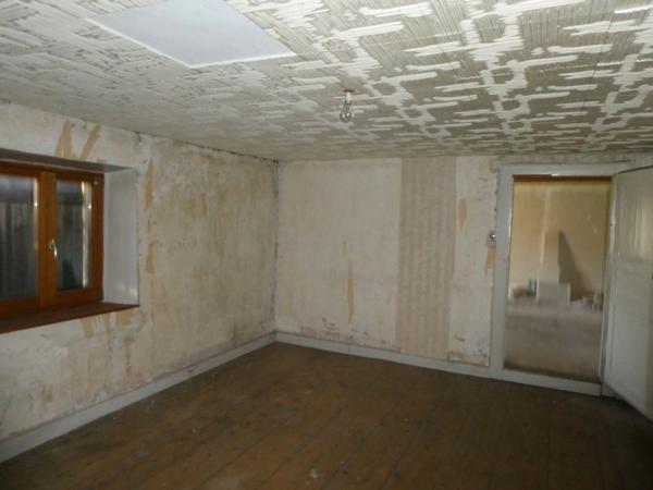 LE THILLOT (88) Ferme de 90m² habitables et 250m² d'anciennes granges et écuries à réhabiliter avec fort potentiel- 1.3 hectare de terrain, hangar.