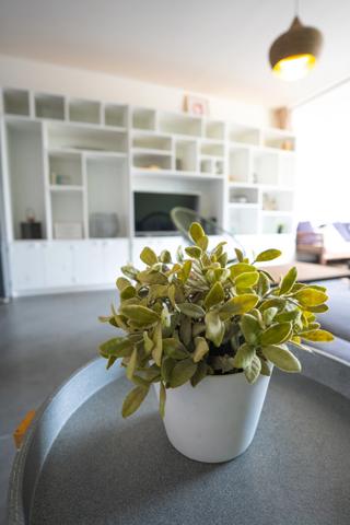 À louer – T2 meublé de 55 m² – Saint-Denis (Colline des Camélias)