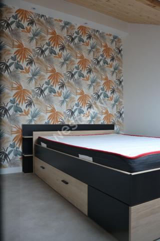COLOCATION Appartement en Co living 4 grandes chambres privatives proximité centre Yssingeaux