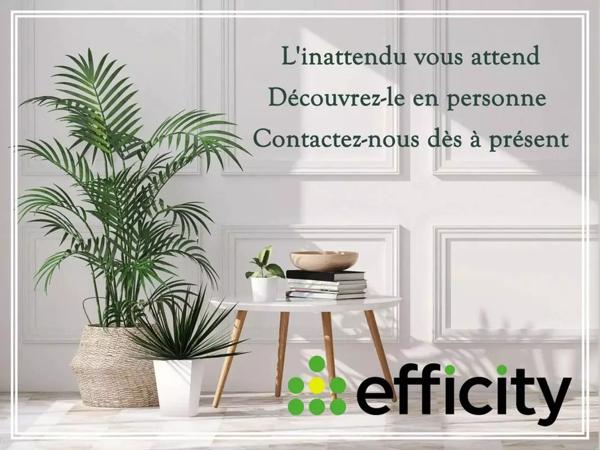 Appartement 3 pièces - 70 m² Exclusivité efficity