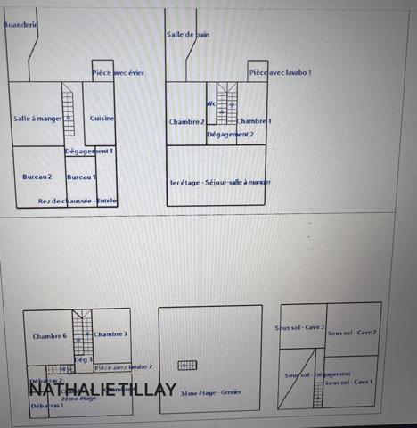 Orleans, centre, a vendre, hôtel particulier 400 m², jardin