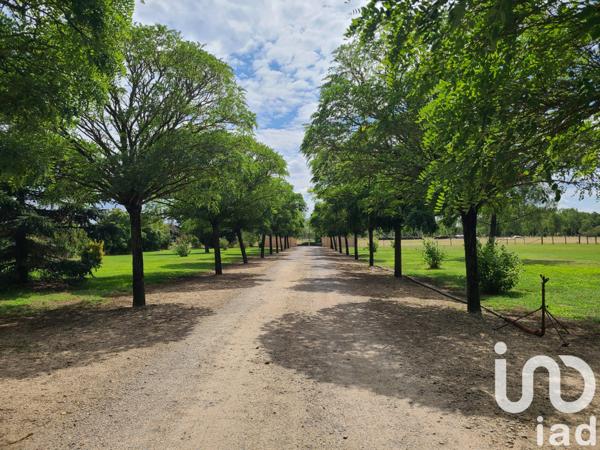 Maison à vendre 8 pièces 243 m² Vivy