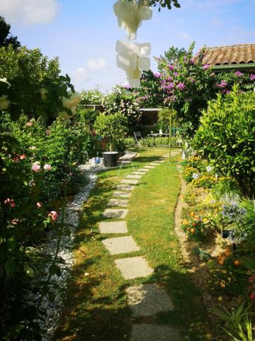 VIAGER OCCUPE - POMAREZ (40)