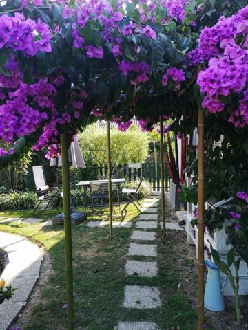 VIAGER OCCUPE - POMAREZ (40)