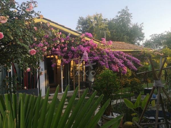 VIAGER OCCUPE - POMAREZ (40)