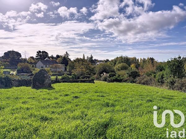 Terrain à vendre 1 935 m² Beaulieu-sur-Layon