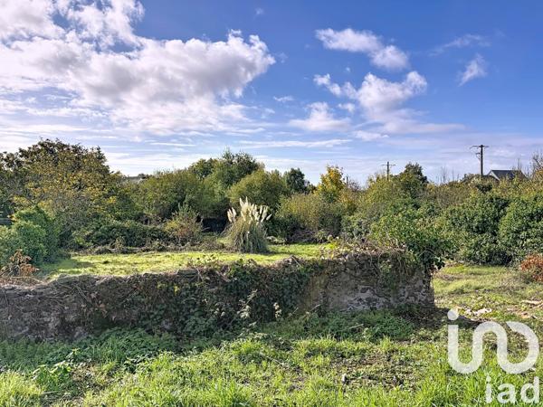 Terrain à vendre 1 935 m² Beaulieu-sur-Layon