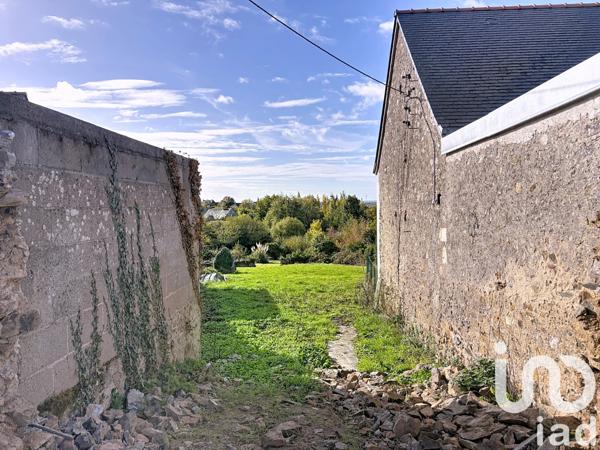 Terrain à vendre 1 935 m² Beaulieu-sur-Layon